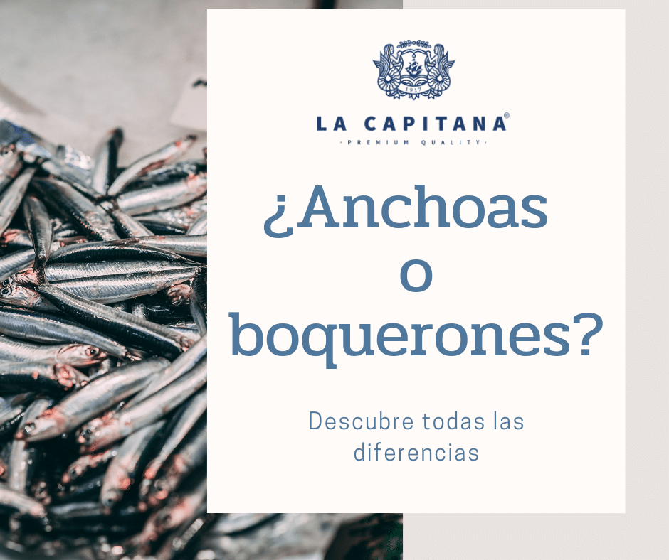 Anchoas en Aceite V. Capitan Santoña